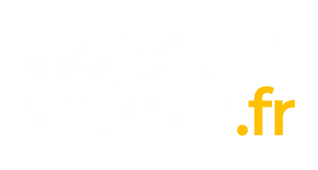 logo assistant artisan footer